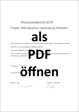 PWS Revisorenbericht 2019